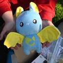 В одеському парку вперше випустили реабілітованих кажанів