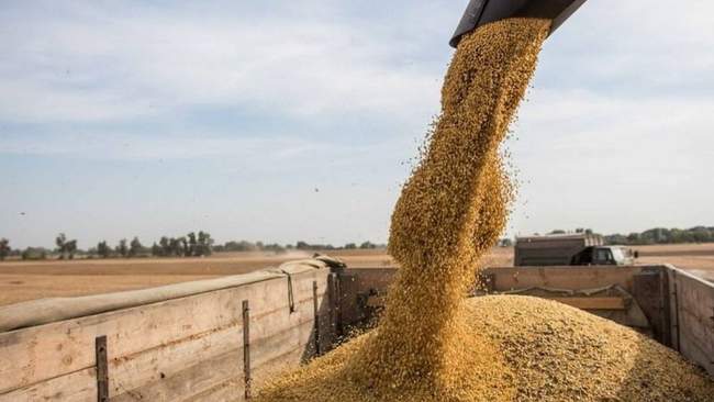 ФОТО: Superagronom