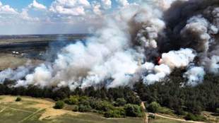 На Миколаївщині вирішили відновити постраждале через пожежі урочище "Андріївське"