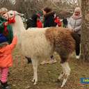 Ярмарка «Скарби Одещини»