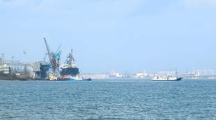Profits of Odesa Region ports: who is leading and who is losing