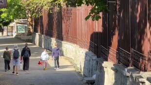 Окупанти закрили парк санаторію "Гурзуфський" для мешканців Криму