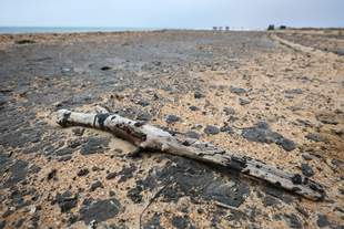 В Крыму за неделю собрали более 80 тонн загрязненного мазутом песка и почвы