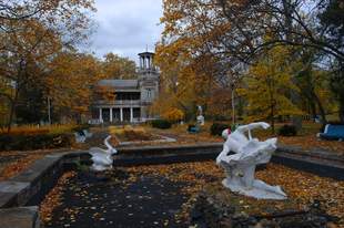 В парке-памятнике садово-паркового искусства санатория Аркадия удалено более 200 деревьев - эколог