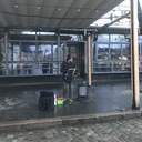 Тепле Різдво: як виглядає головна вулиця Одеси в святковий день