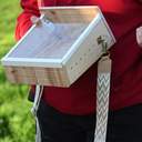 В одеському парку вперше випустили реабілітованих кажанів