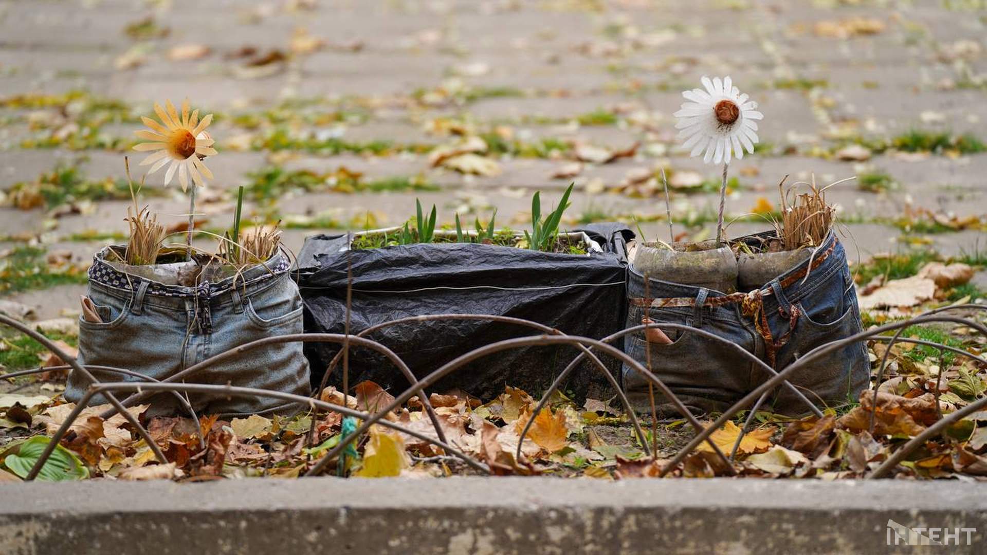 Як живе Херсон: життя міста у фотогалереї до другої річниці деокупації