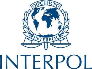 Международная организация уголовной полиции