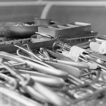 transplantation