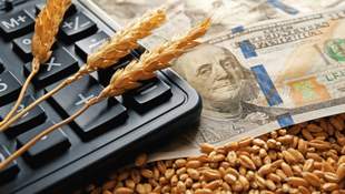 Директор николаевской компании скрыл 55 миллионов от налогов