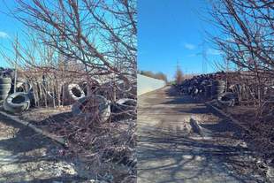 В Одесі виявили небезпечне звалище покришок: хто його повинен прибрати