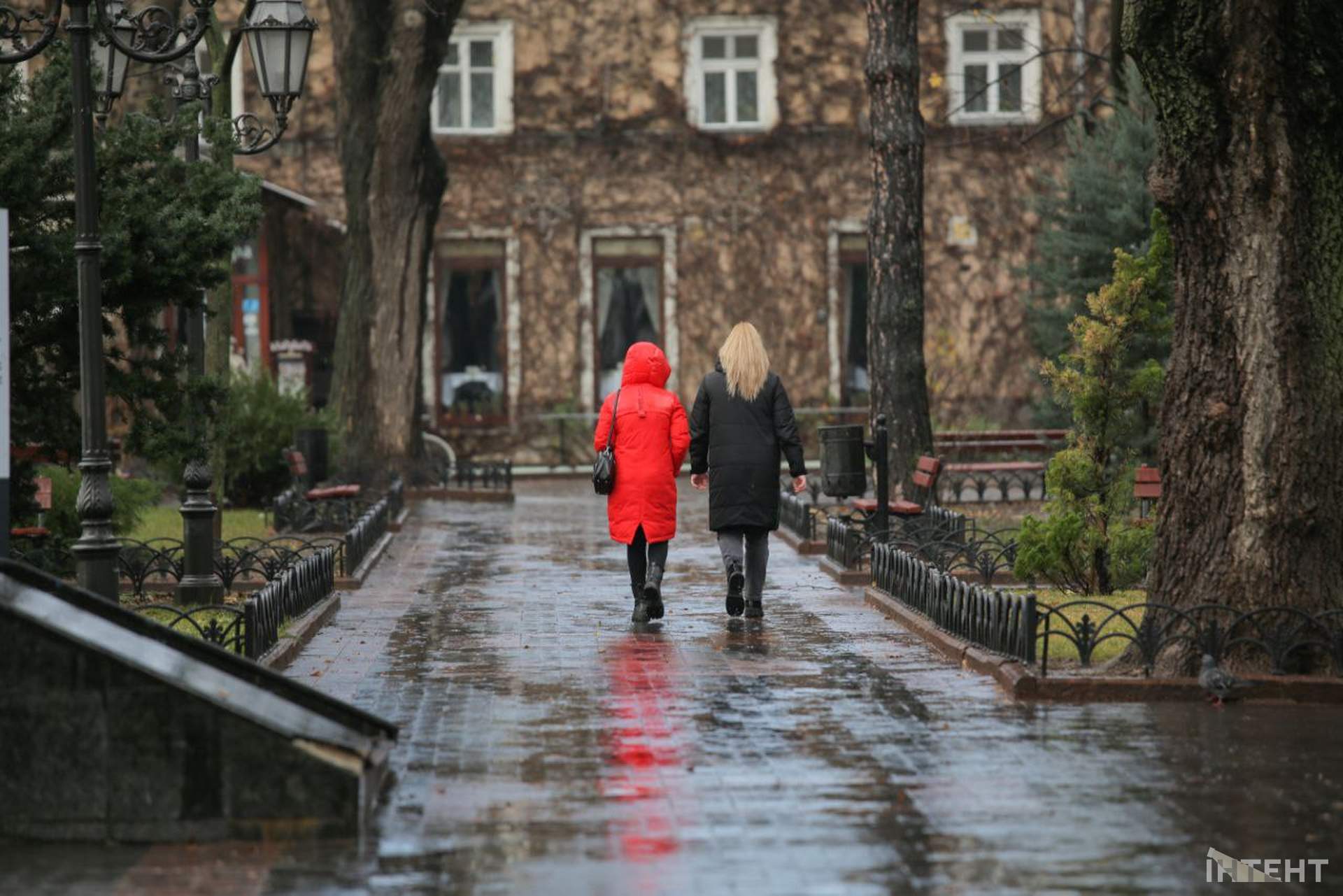 Справжня зима: Одесу зранку засніжило