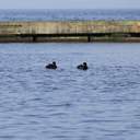 На одеські пляжі прийшла друга воєнна весна