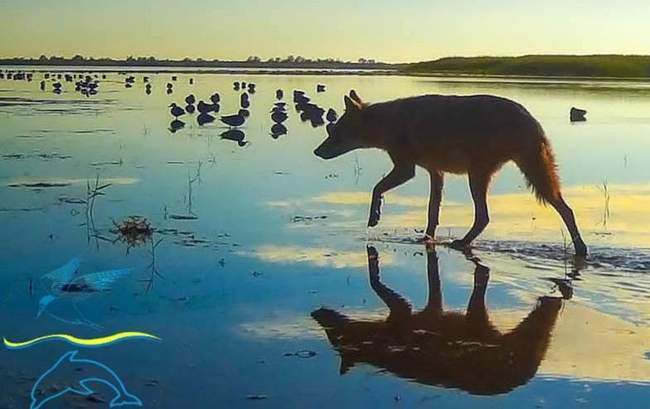 Фото: Іван Русєв/Facebook