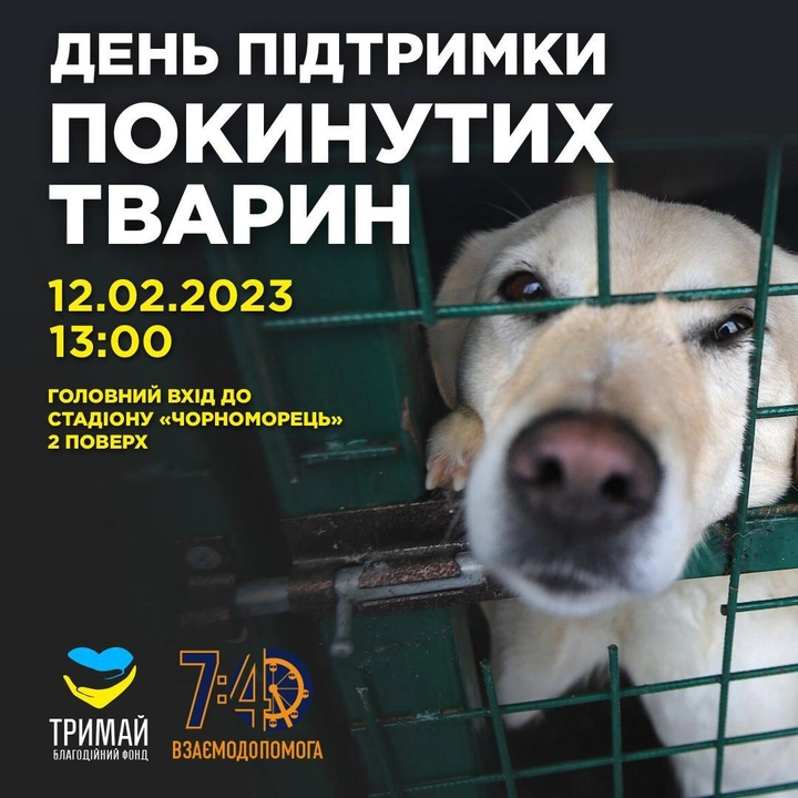 День підтримки покинутих тварин