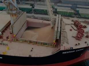 Міністри та дипломати проінспектували в Чорноморську завантаження зерна для Йємену