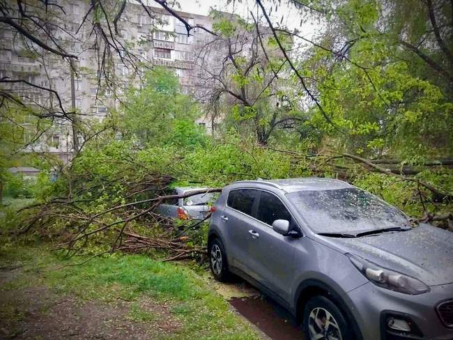 Фото: Одеська мерія