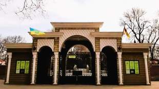 Zoo wars: opinion of animal rights activists and officials