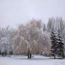 Зимова казка