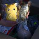 В одеському парку вперше випустили реабілітованих кажанів