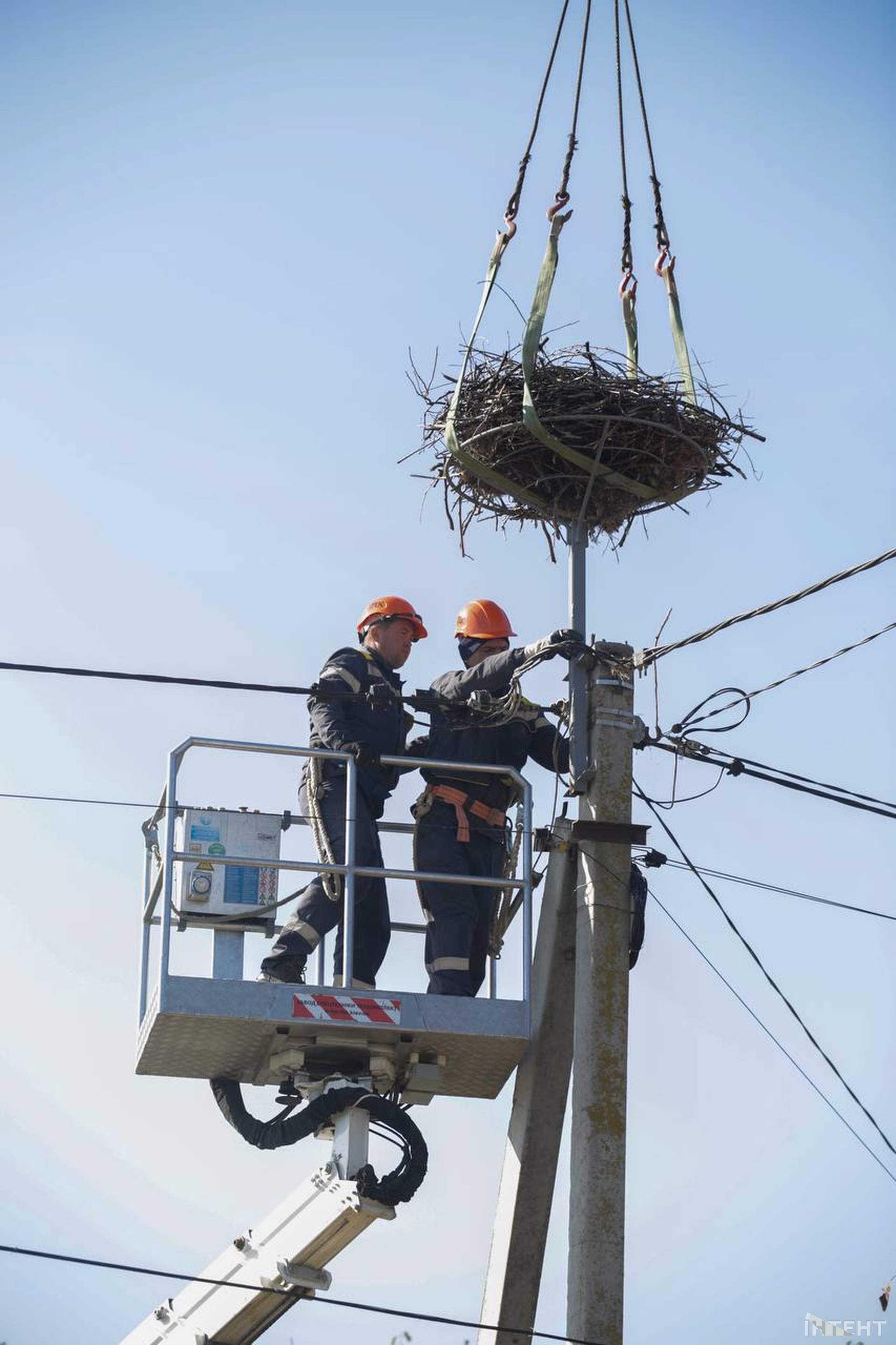 Електрики встановили на Одещині платформи для гнізд лелек