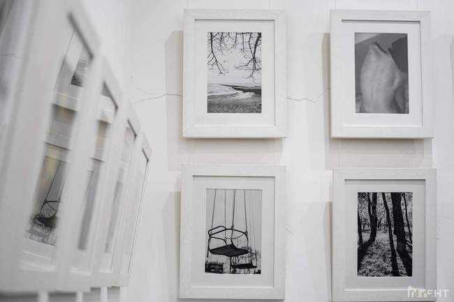 Виставка фотографій "Тендітність"