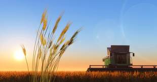 Боротьба за землі на Миколаївщині: суд відхилив скаргу агрофірми