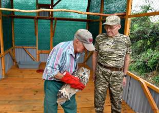 В дельте Дуная появятся краснокнижные филины