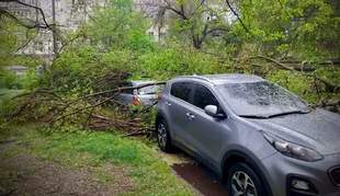 Одеські комунальники запланували витратити 2 мільйони на підрізання гілок зламаних негодою