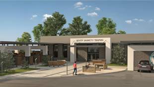 У Миколаєві вирішили створити сучасний центр для безпритульних тварин за 60 мільйонів