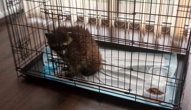 ФОТО: Державна екологічна інспекція Південно-Західного округу