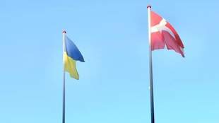 Николаевские громады презентовали инвестиционные проекты Дании: от энергетики до благоустройства