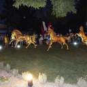 У Доброславі відкрили Дубай парк