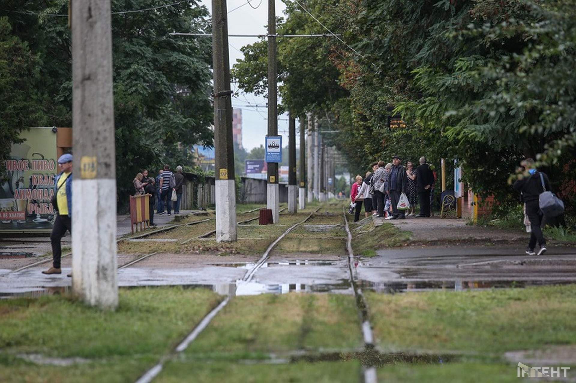 Наслідки негоди в Одесі: зламані гілки та підтоплені вулиці (оновлено)