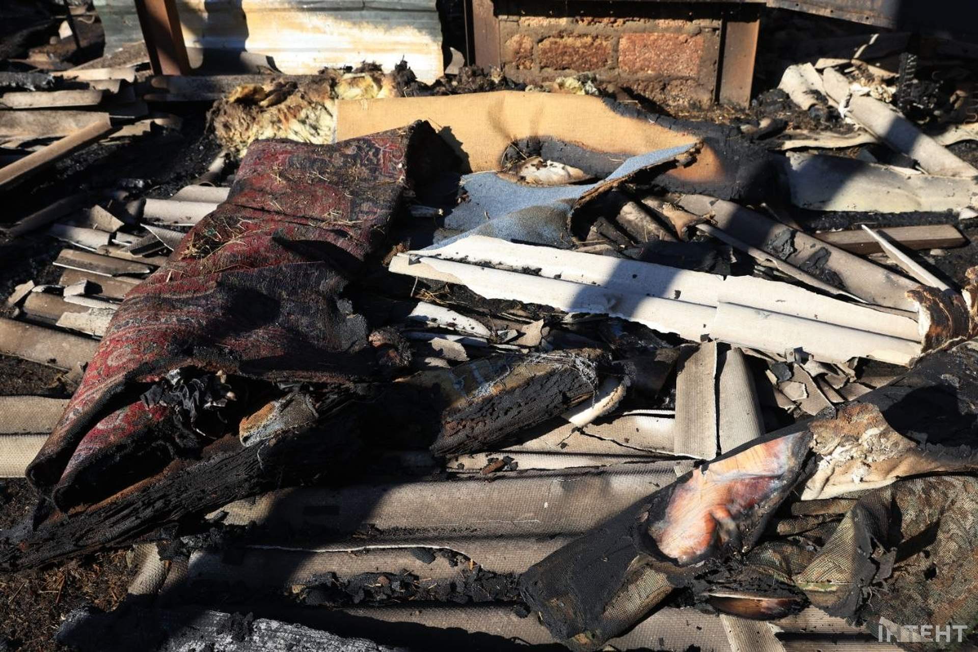 На Одещині під час атаки згорів притулок "Люблячі серця": загинули 13 тварин
