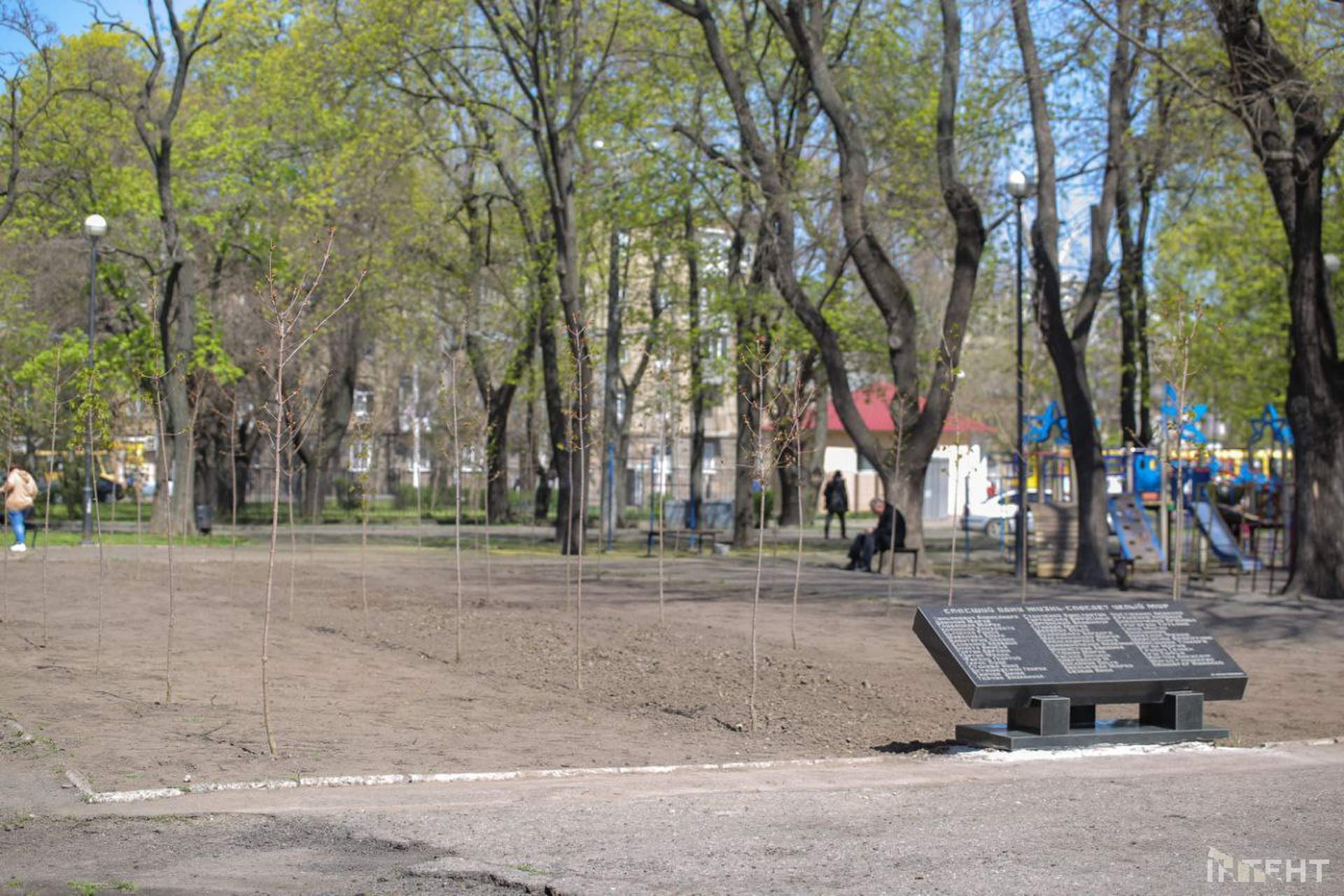 В Одесі висадили алею кленів в пам'ять Праведників світу