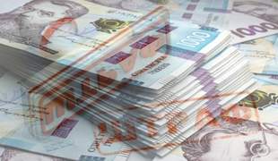 Odesa court fines volunteer for the amount of bribe received