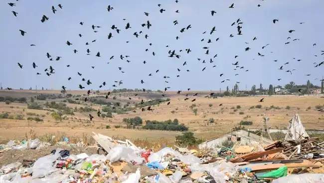 Миколаївський полігон. Фото: МикВісті