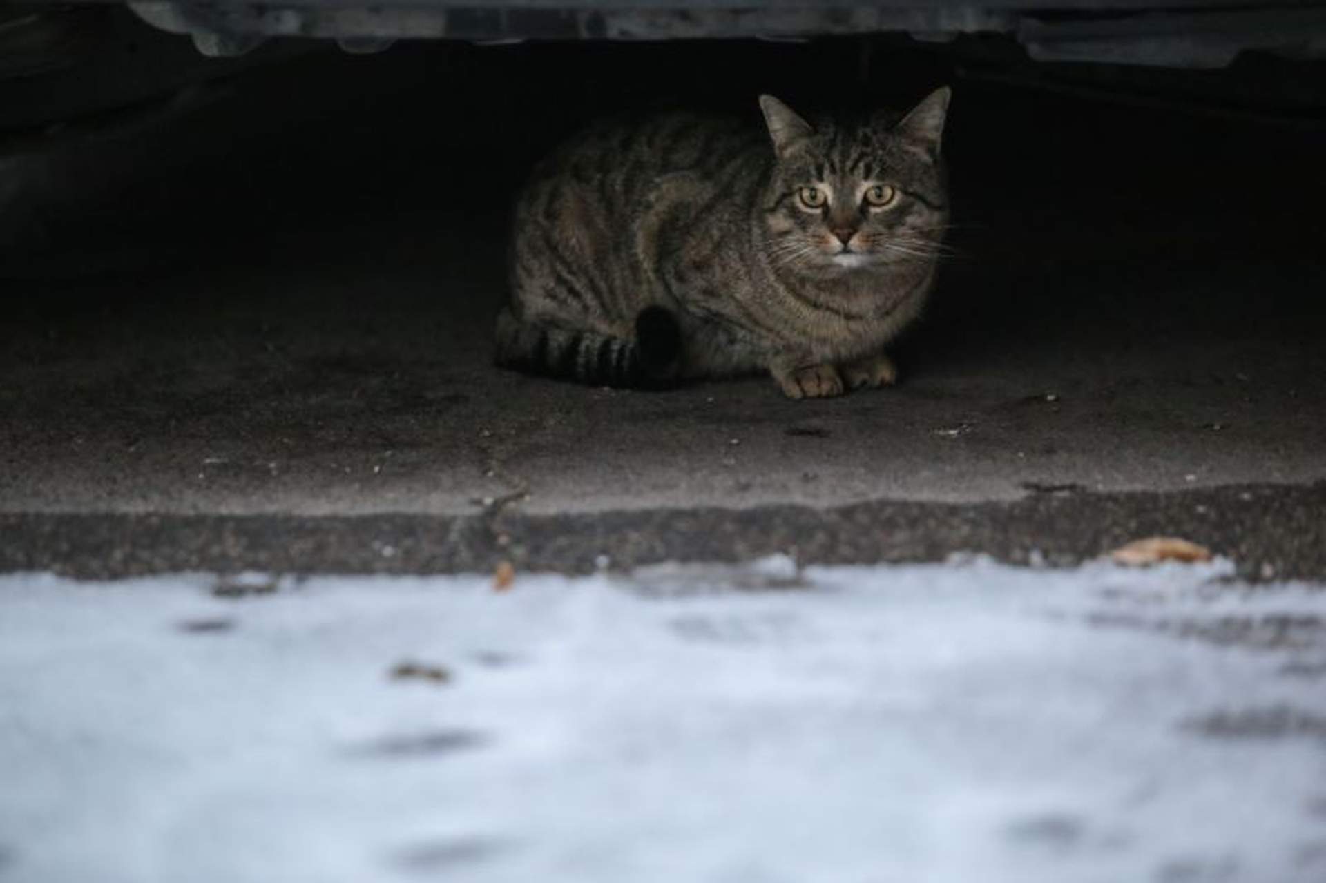 В Одесу завітала зима