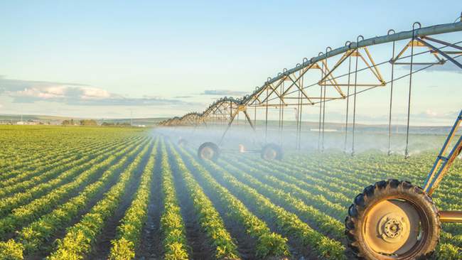 Growing systems. PHOTO: rada.gov.ua
