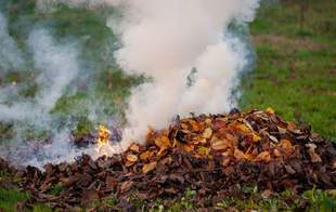 Понад три тисячі гривень штрафу сплатить житель Миколаївщини за багаття