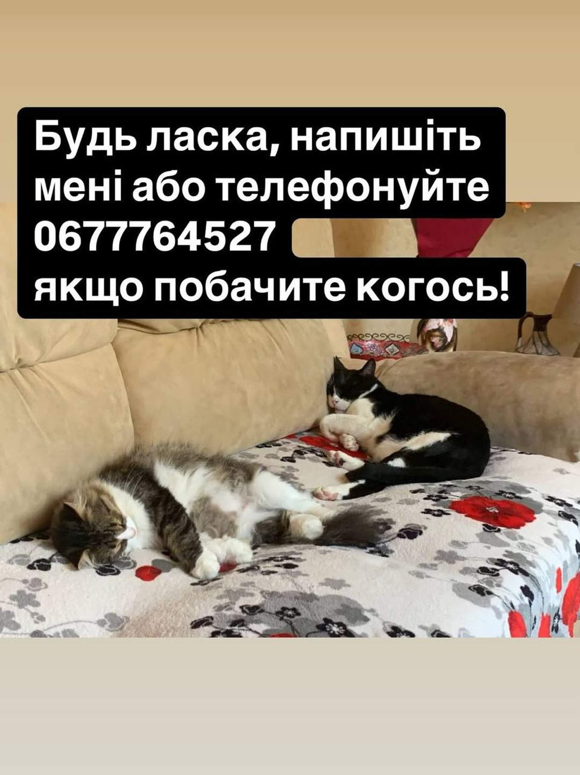 Ворожий дрон знищив будинок директора Одеського зоопарку