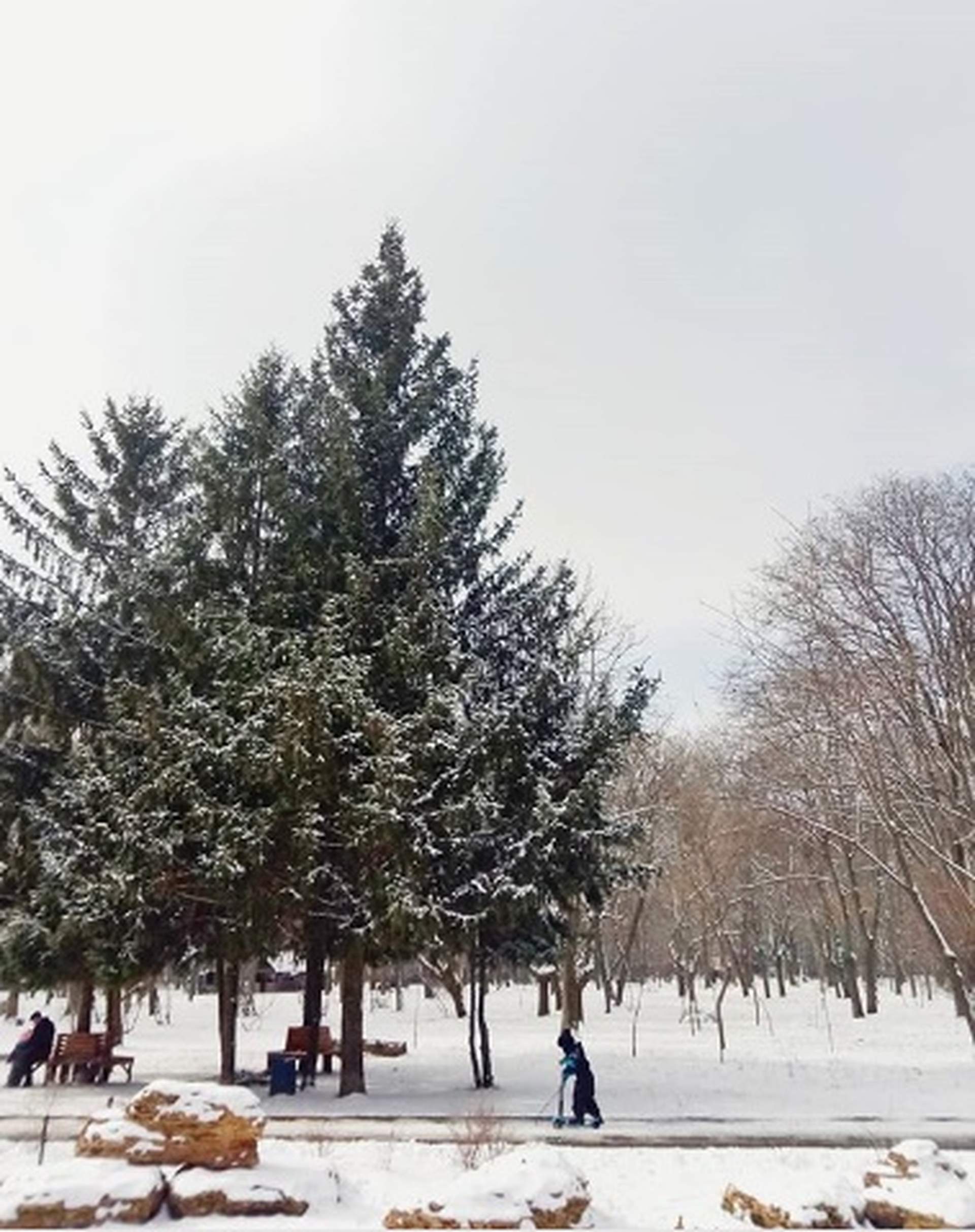 Снегопад в Одессе