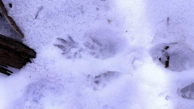 Фото: Нижньодністровський національний природний парк