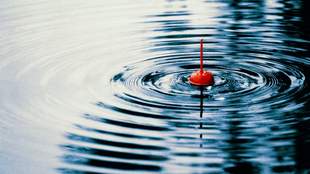 На Миколаївщині ввели заборону на вилов водних біоресурсів