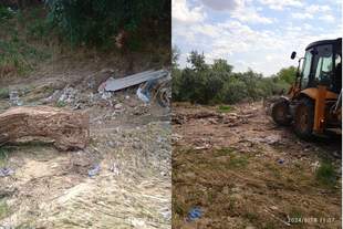 У селі на Одещині через негоду загиблі тварини та зірвало асфальт з доріг