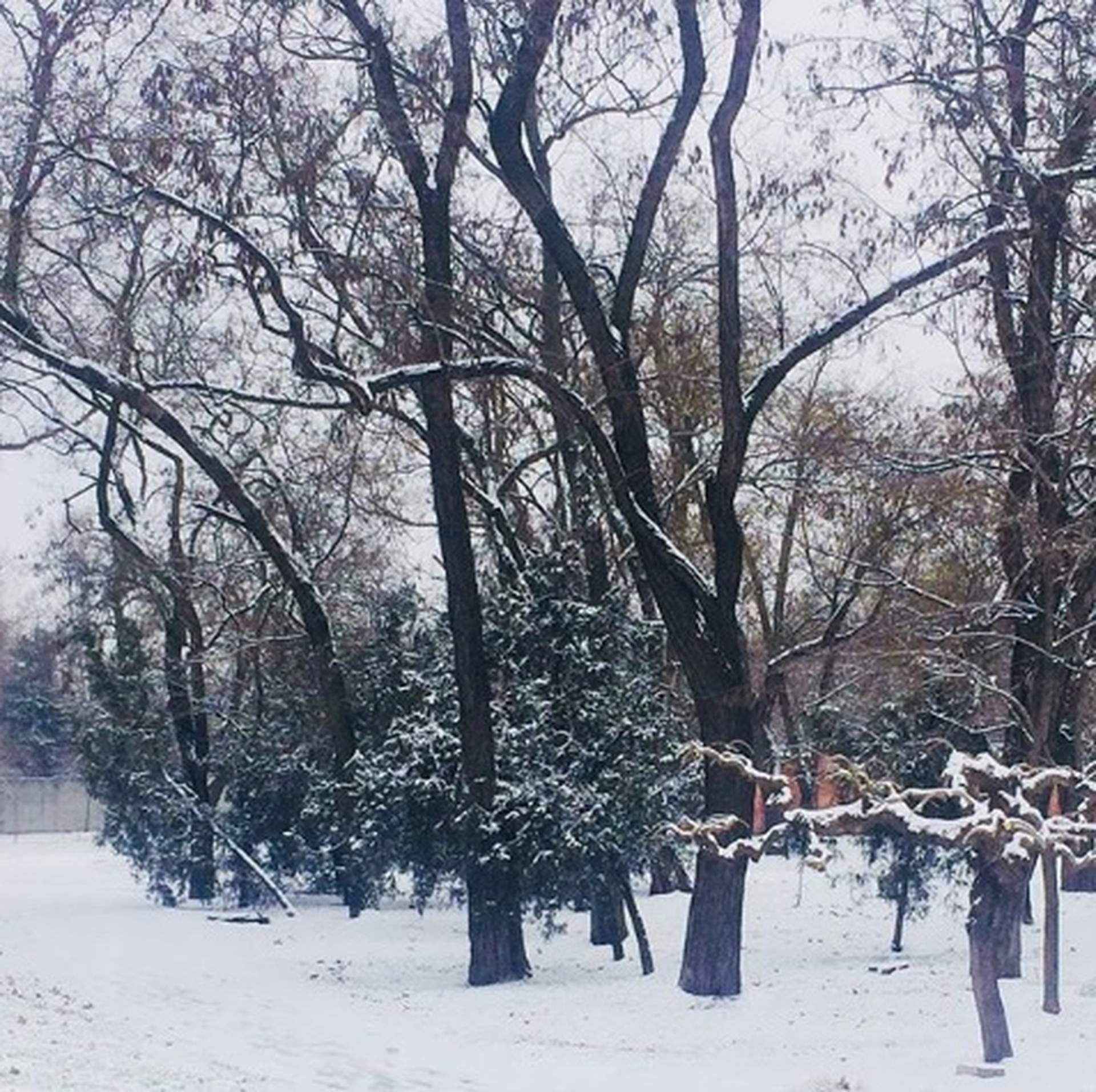 Снегопад в Одессе