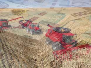 Аграрії Одещини отримали майже 2 мільярди гривень у кредит