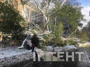 Повалені дерева та засніжена Одеса у світлинах Інтента