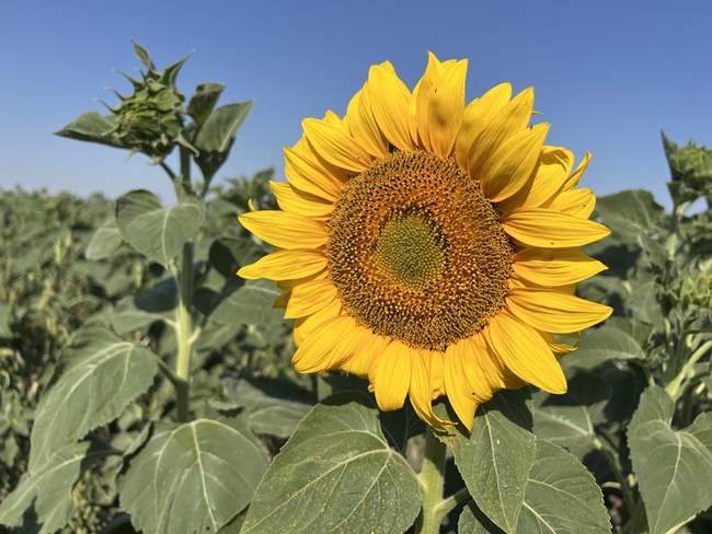 PHOTOS: Public Kherson